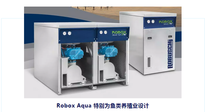 鲁布斯奇旋片鼓风机