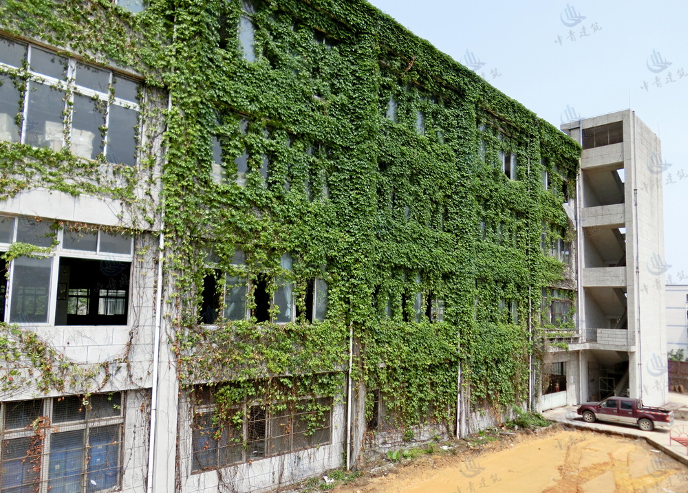 东莞常平厂房承重加固工程