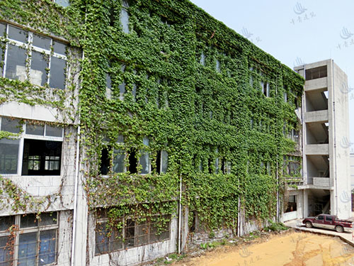 东莞常平欧威尔厂房承...