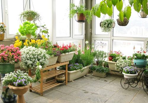 阳台承重_中青加固改造