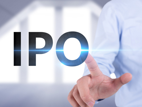 企业上市咨询和辅导服...