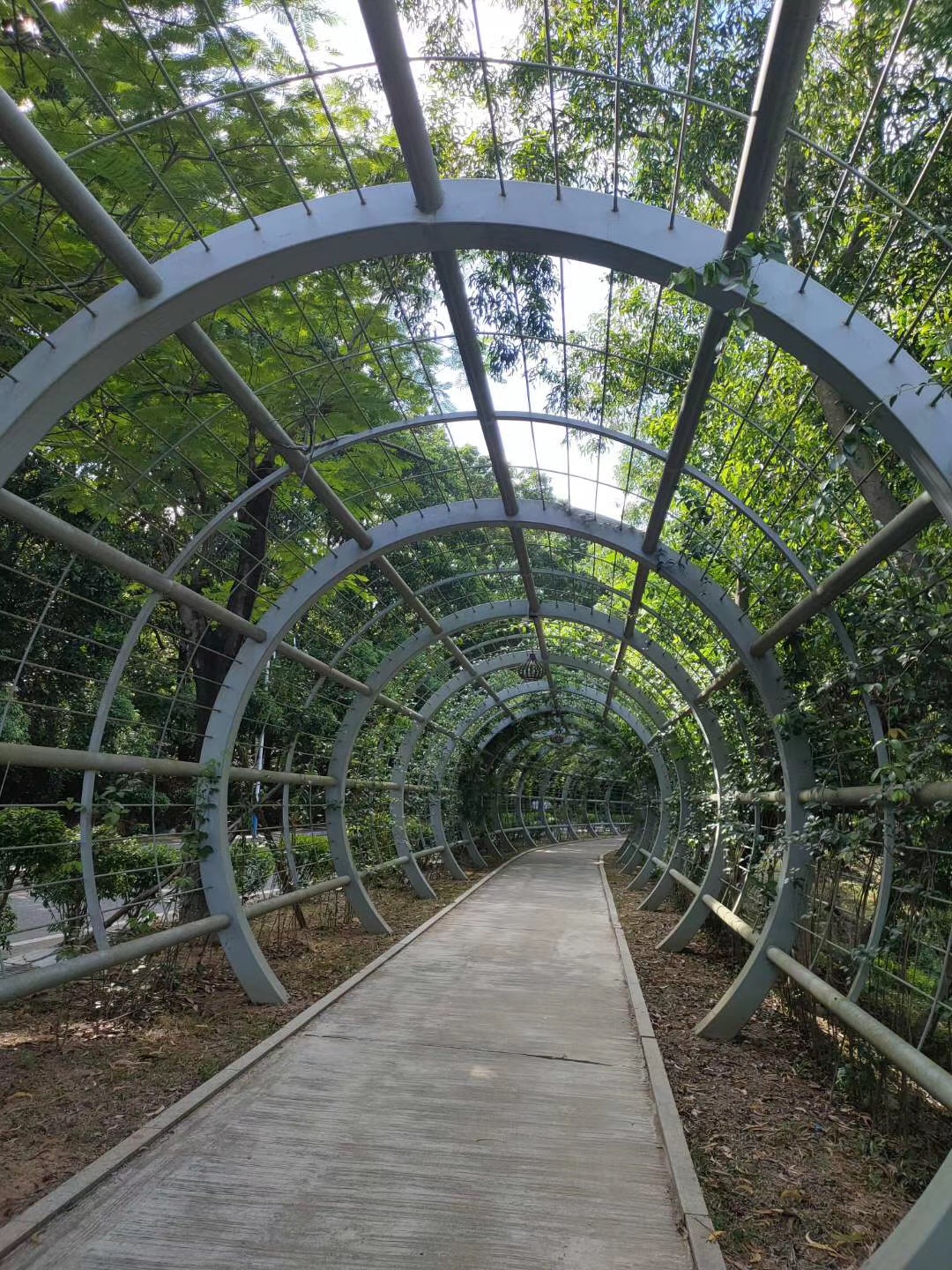 东莞市市政圆弧形连廊...