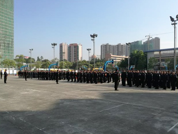 我司对全镇校园安保义...