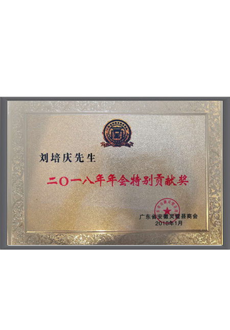 2018年年会最佳贡...