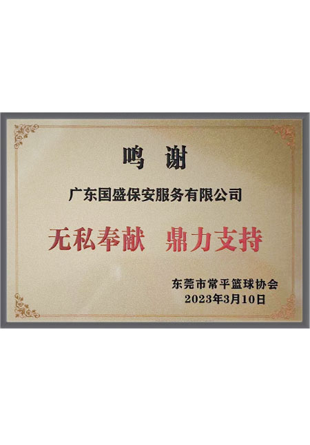 东莞市常平篮球协会颁...