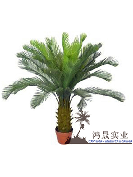 仿真苏铁