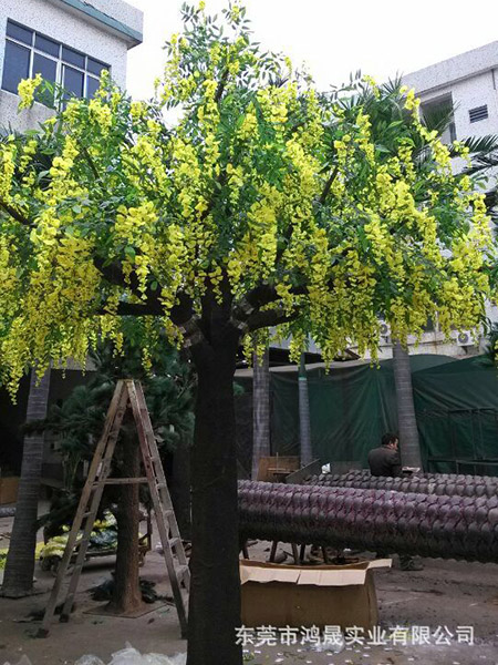 仿真豆花树