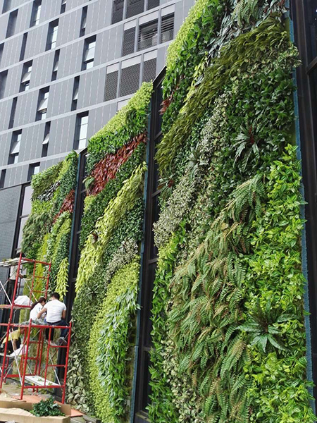室外植物墙