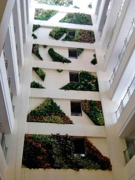 垂直绿化植物墙