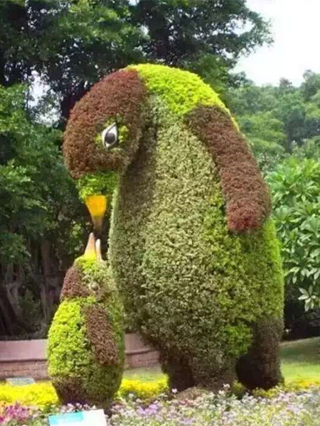 企鹅植物绿雕