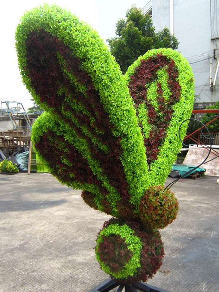 蝴蝶植物绿雕