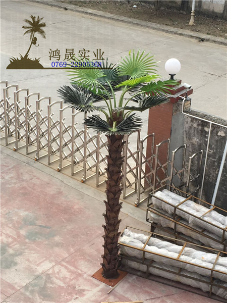 仿真扇葵树