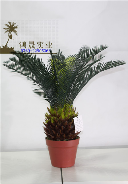 仿真苏铁盆栽