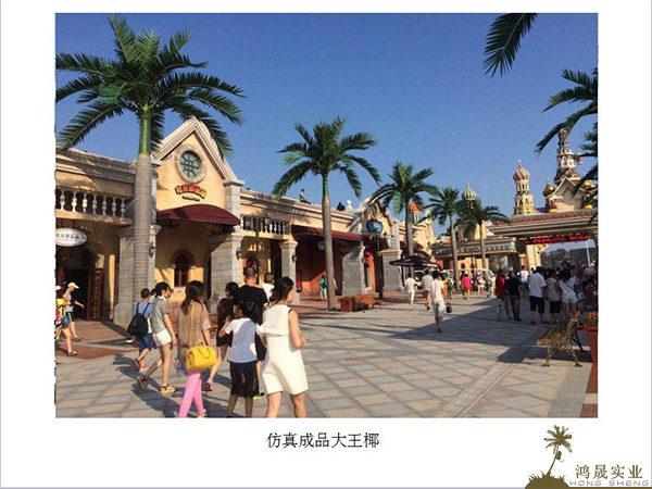 大王椰工艺图
