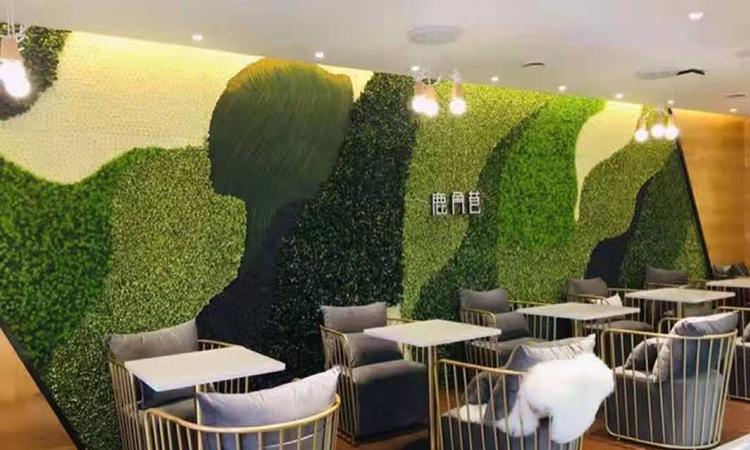 室内休闲仿真植物墙