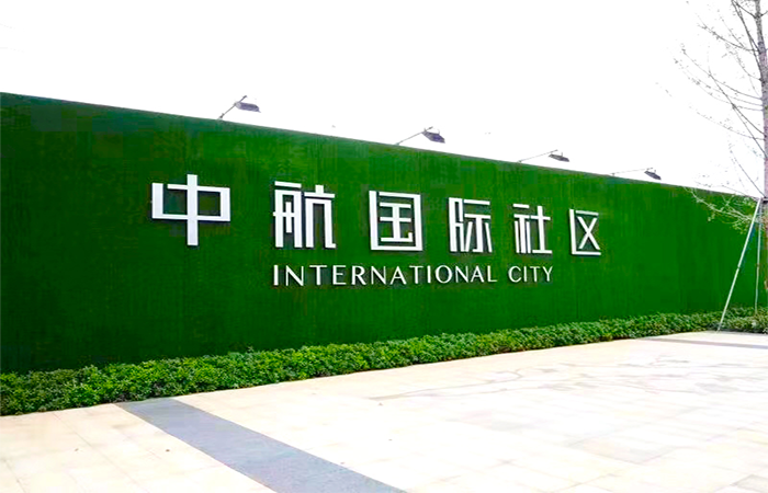 中航国际草坪