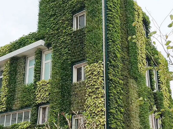 室外植物墙
