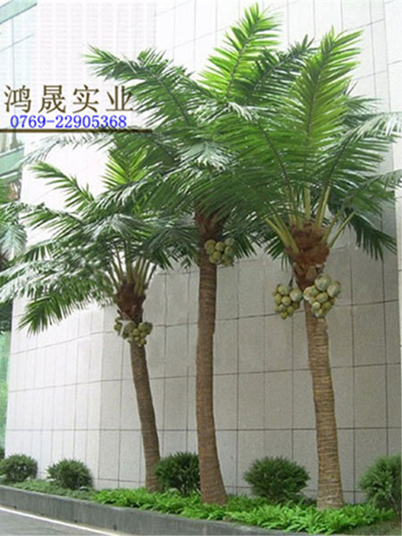 椰子树