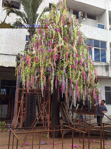 彩色仿真豆花树