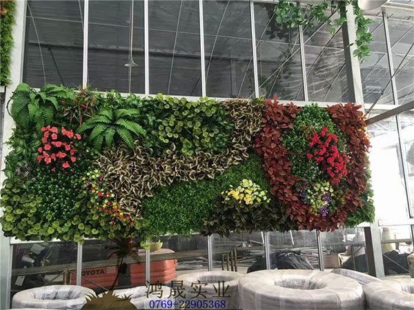 室内植物墙