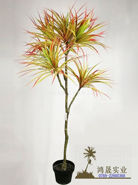 红色龙须草树 71头170cm HS18-07050X-P