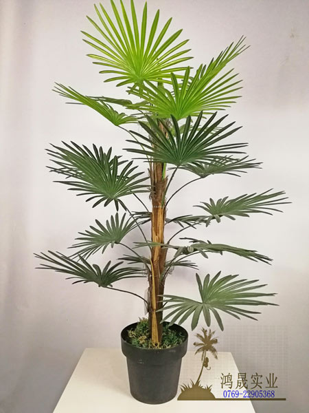 单杆扇葵18叶 100cm HS18-06024S-P