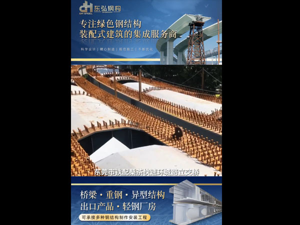 东莞市铁配美茶快违环城路立交桥