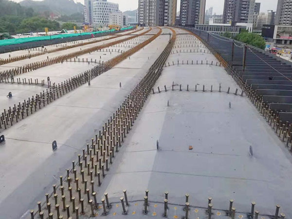 深圳市东部过境高速省...