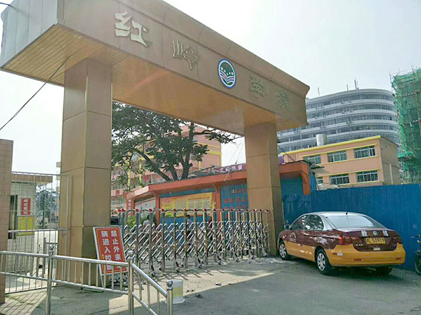 惠州市红岭小学电动伸...