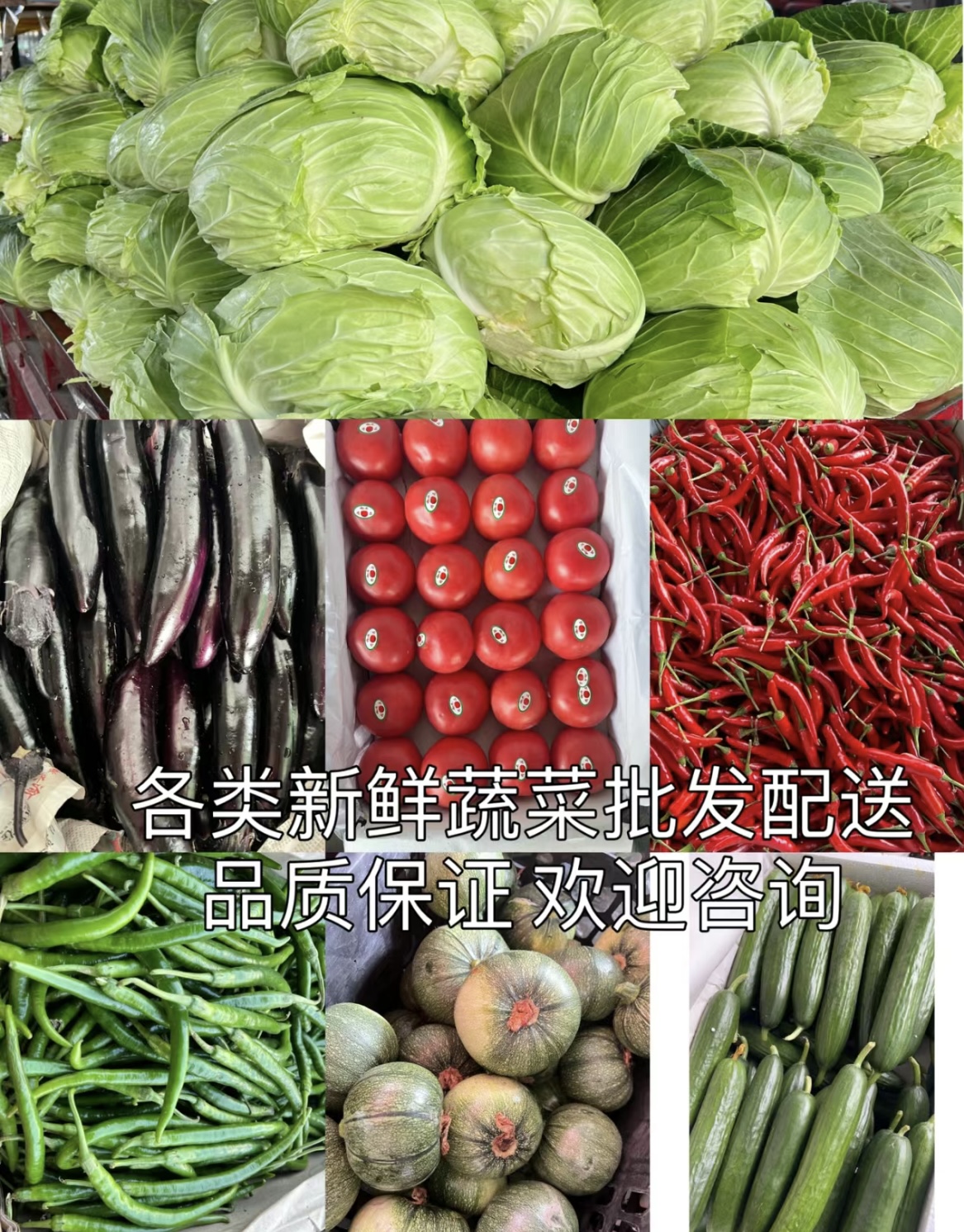 食堂蔬菜配送报价