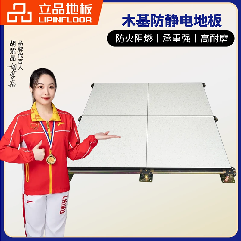 木基防静电地板