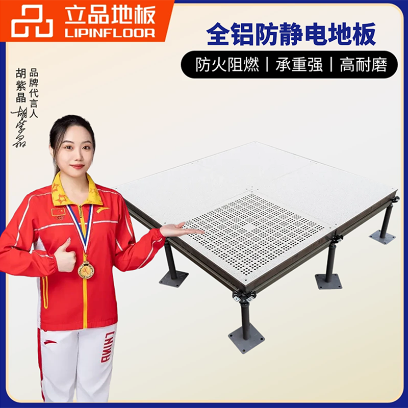 全铝防静电地板