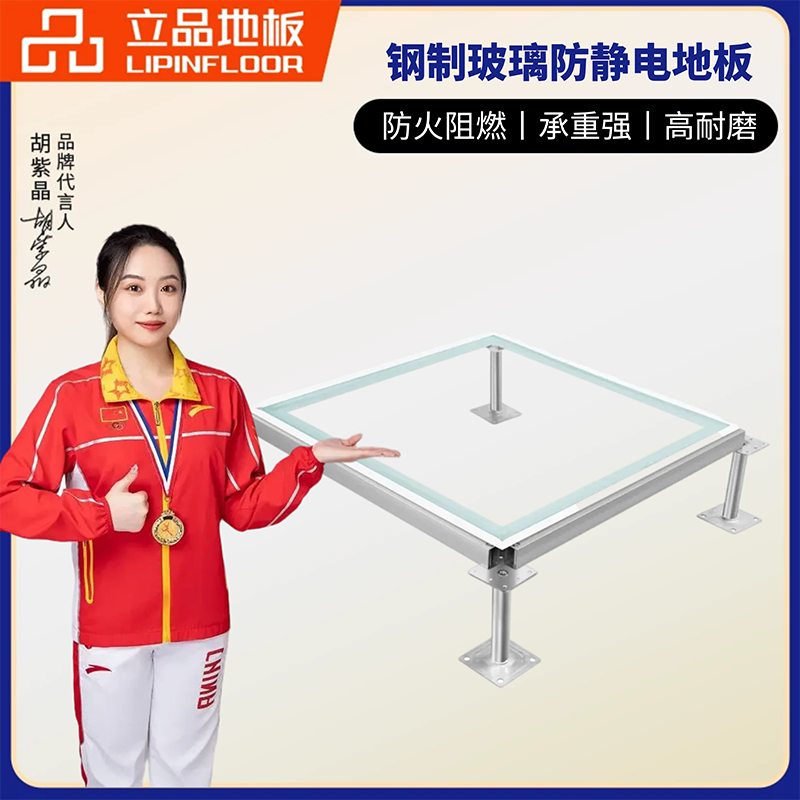 钢制玻璃静电地板