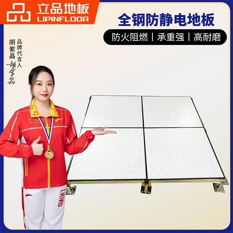 HPL全钢防静电地板