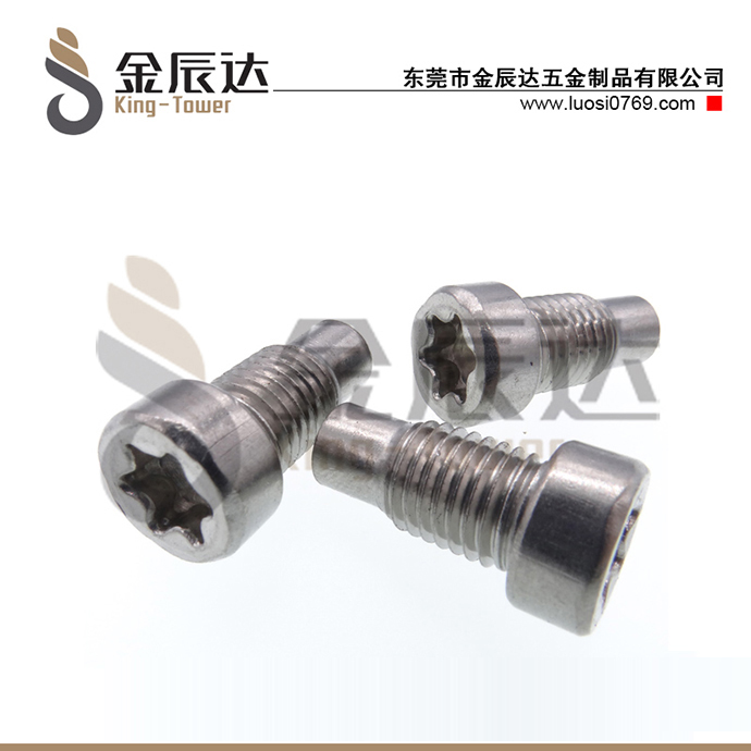 不锈钢束尾螺丝