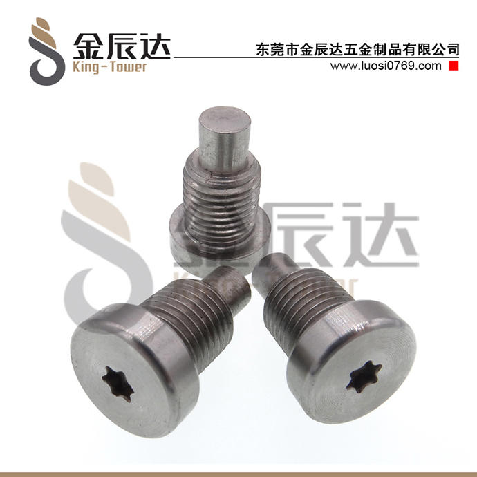 不锈钢非标螺丝