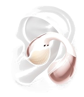 独家水滴弧曲线设计