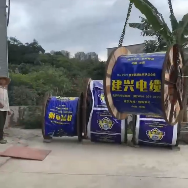 视频展示