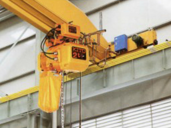 LD Electric Single track traveling crane