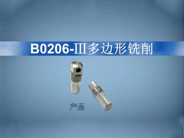 B0206-...