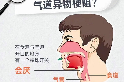 韩国国民影帝安圣基吃...