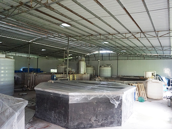 生产发酵车间发酵池