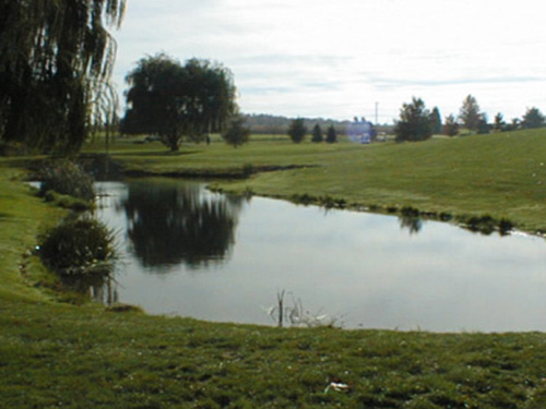 污水处理基础小知识