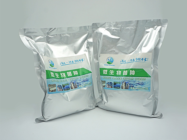 反硝化细菌在污水处理中的运用（上篇）