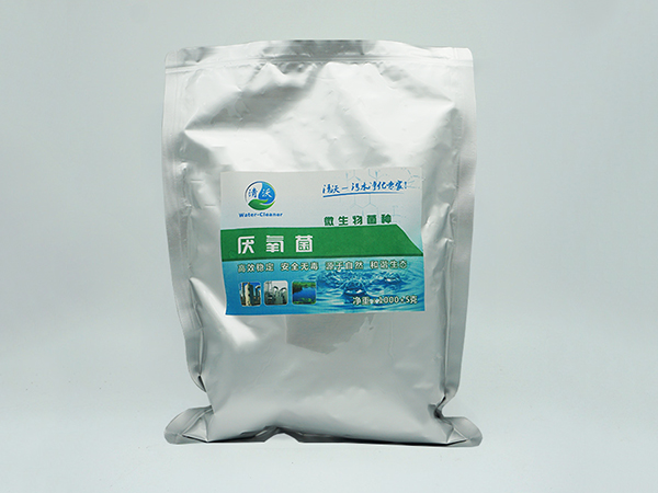 污水处理中厌氧菌的作用