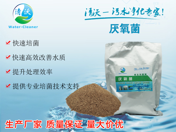 什么是污水处理菌？