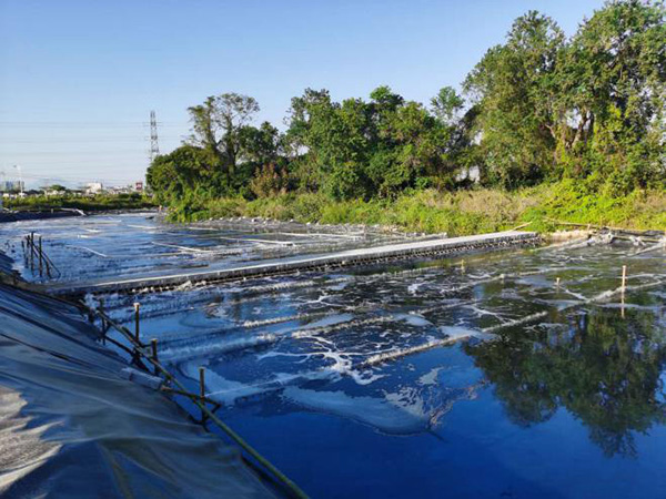 揭西凤江镇河涌黑臭水...