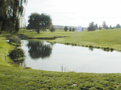 佛山三水西南街某河涌...