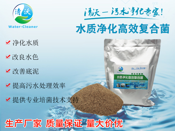 水质净化高效复合菌