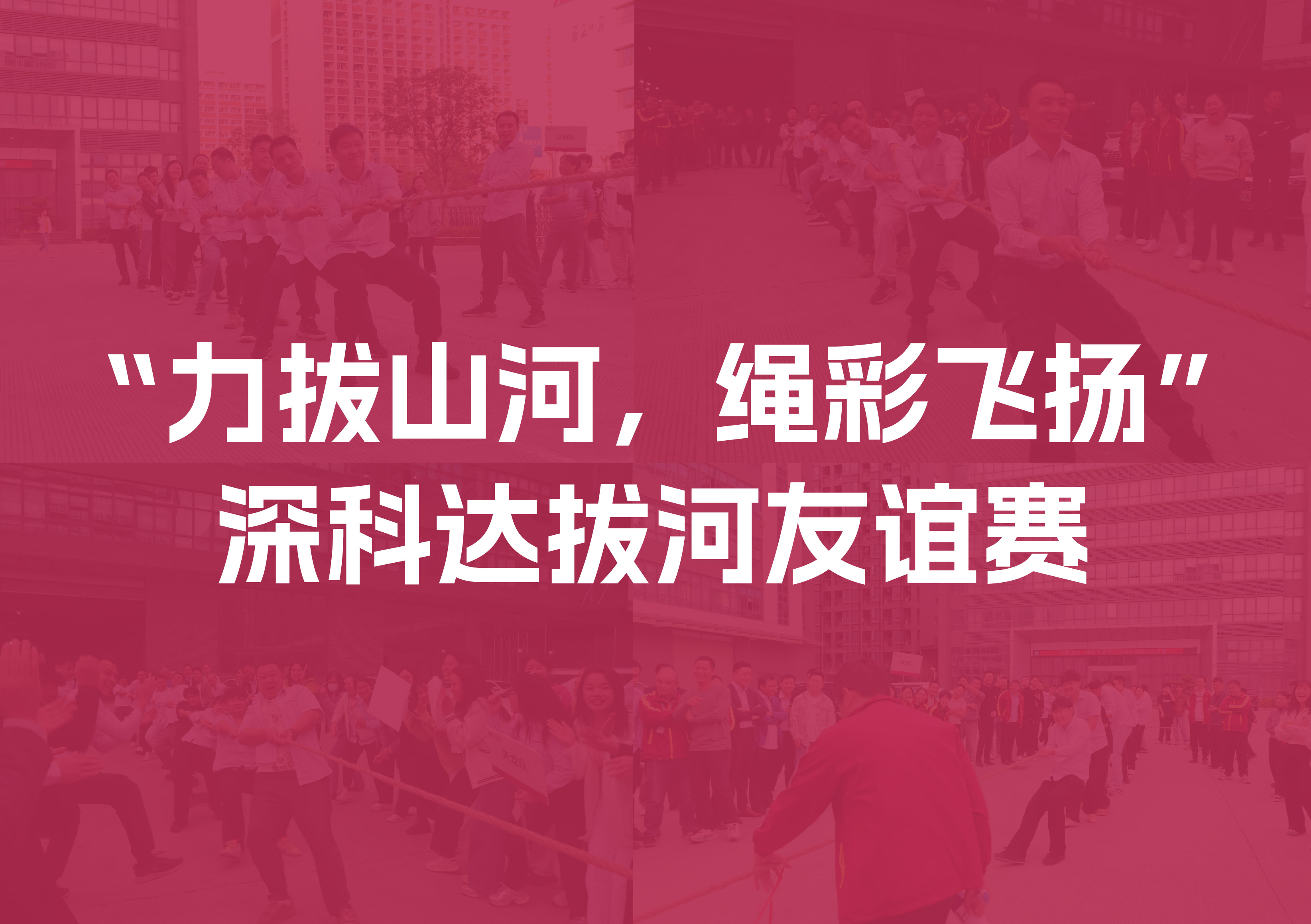 喜报！深科达半导体代表队勇夺深科达集团拔河比赛桂冠